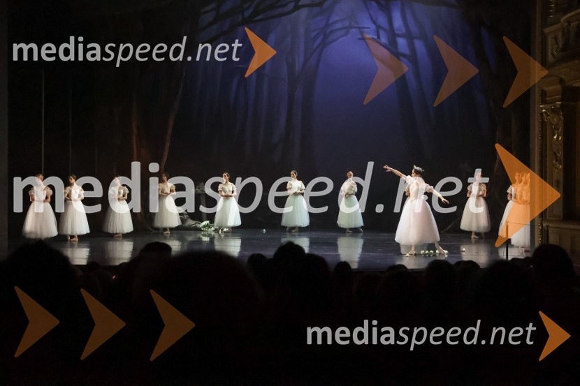 Romantični balet Giselle v SNG Opera in balet Ljubljana