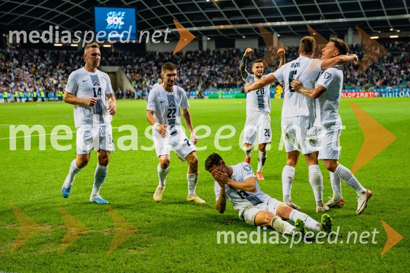 Slovenija s 3:0 premagala Finsko in je korak bližje Evropskemu Prvenstvu