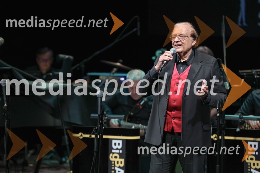  Oto Pestner, pevecGala koncert Poklon Jožetu Privšku, Big Band RTV in SNG Drama Ljubljana