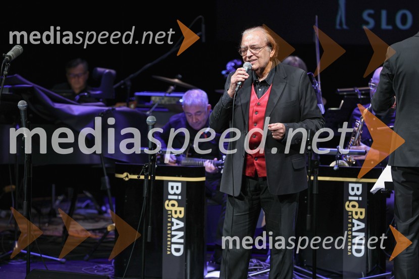  Oto Pestner, pevecGala koncert Poklon Jožetu Privšku, Big Band RTV in SNG Drama Ljubljana
