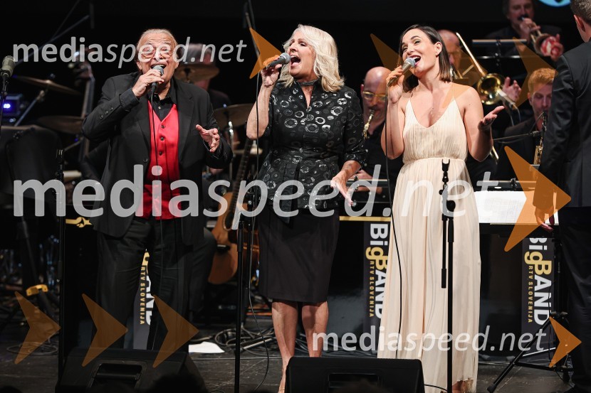 Oto Pestner, pevec;  Alenka Godec, pevka;  Nina Strnad, pevkaGala koncert Poklon Jožetu Privšku, Big Band RTV in SNG Drama Ljubljana