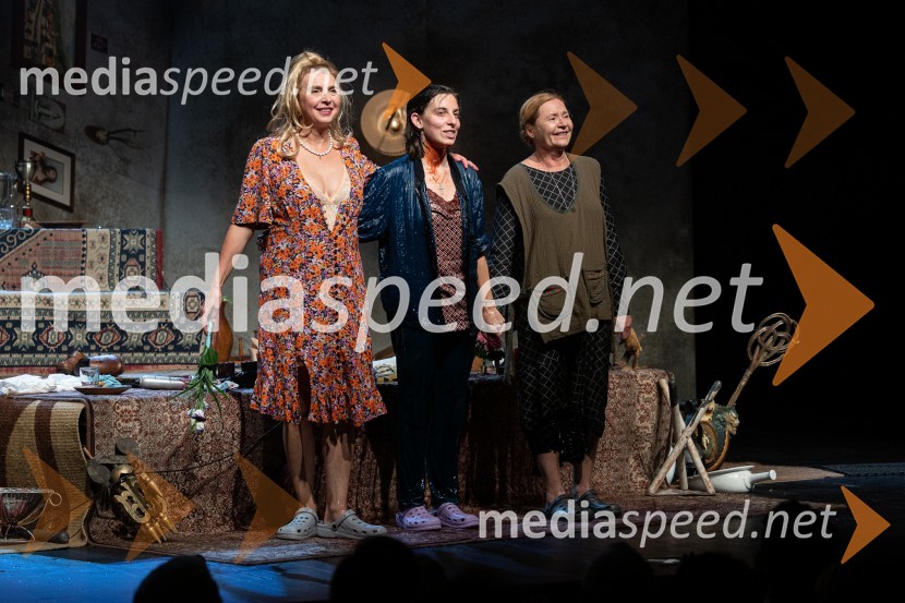  Darja Reichman, igralka;  Tina Resman, igralka;  Vesna  Jevnikar, igralkaPredsednice, premiera, Prešernovo gledališče Kranj
