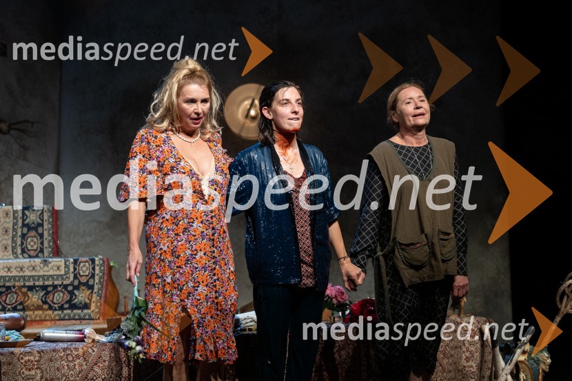  Darja Reichman, igralka;  Tina Resman, igralka;  Vesna  Jevnikar, igralkaPredsednice, premiera, Prešernovo gledališče Kranj