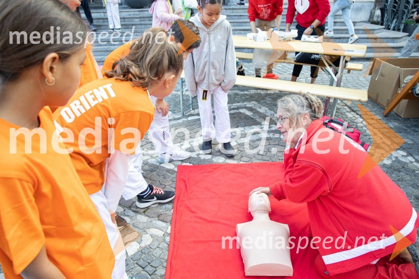 Dobrodelni bazar Mednarodnega združenja žensk - Sila