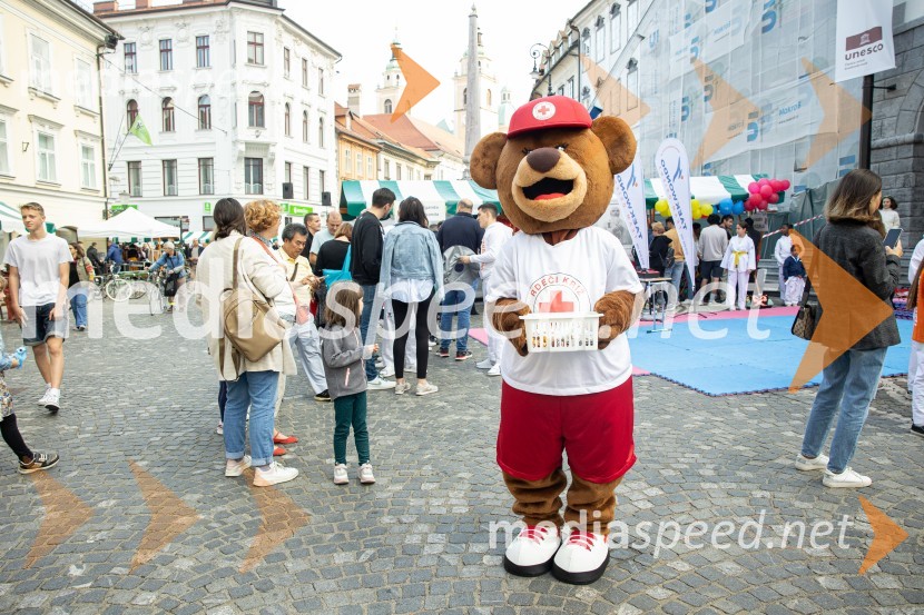 Dobrodelni bazar Mednarodnega združenja žensk - Sila