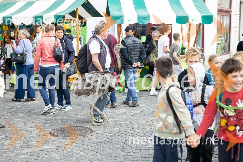 Dobrodelni bazar Mednarodnega združenja žensk - Sila