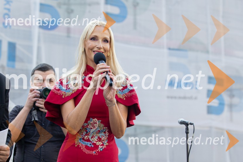  Lali Sladjana Ilic, predsednica, društvo SILA IWCL - International Women's Club LjubljanaDobrodelni bazar Mednarodnega združenja žensk - Sila