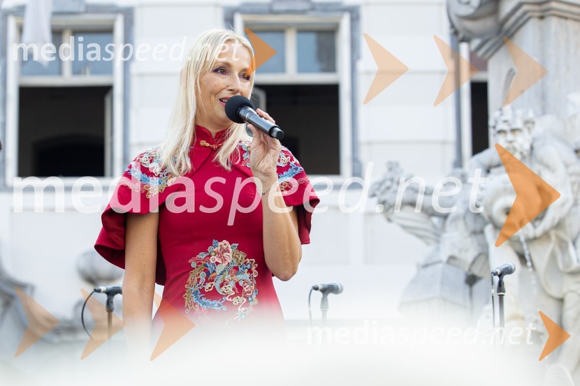  Lali Sladjana Ilic, predsednica, društvo SILA IWCL - International Women's Club LjubljanaDobrodelni bazar Mednarodnega združenja žensk - Sila