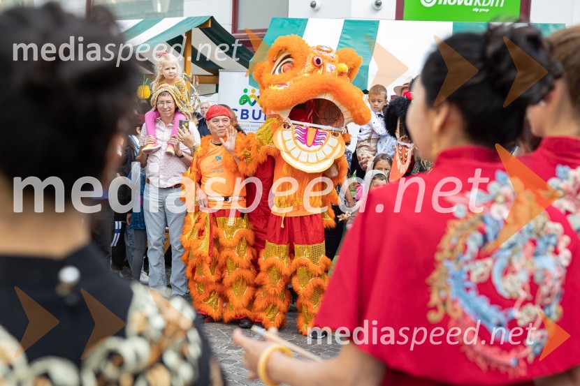 Dobrodelni bazar Mednarodnega združenja žensk - Sila