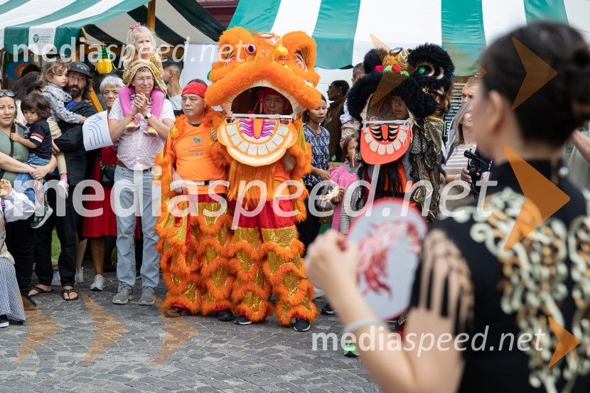 Dobrodelni bazar Mednarodnega združenja žensk - Sila