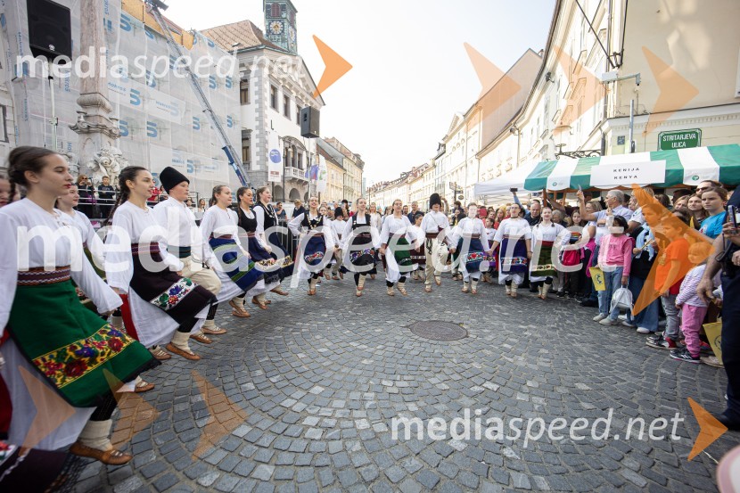 Dobrodelni bazar Mednarodnega združenja žensk - Sila