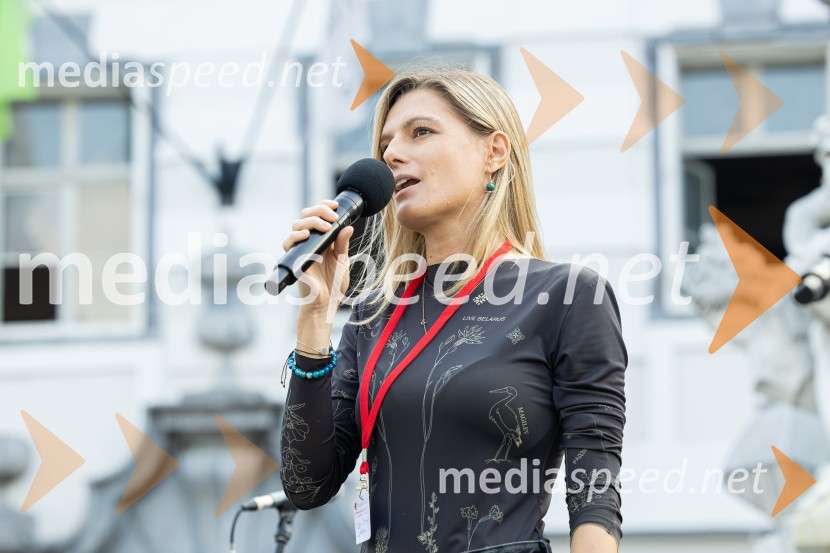 Dobrodelni bazar Mednarodnega združenja žensk - Sila