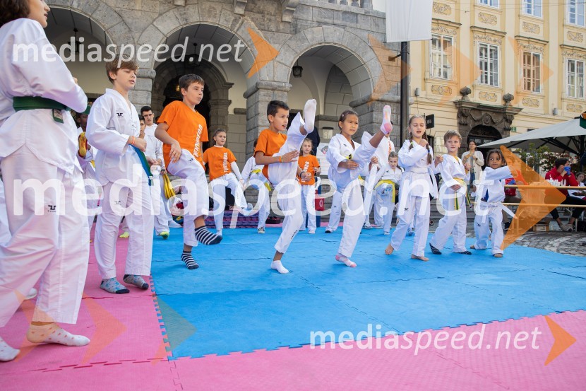 Dobrodelni bazar Mednarodnega združenja žensk - Sila