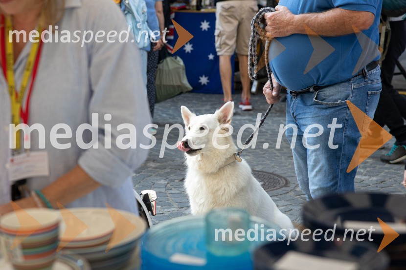Dobrodelni bazar Mednarodnega združenja žensk - Sila