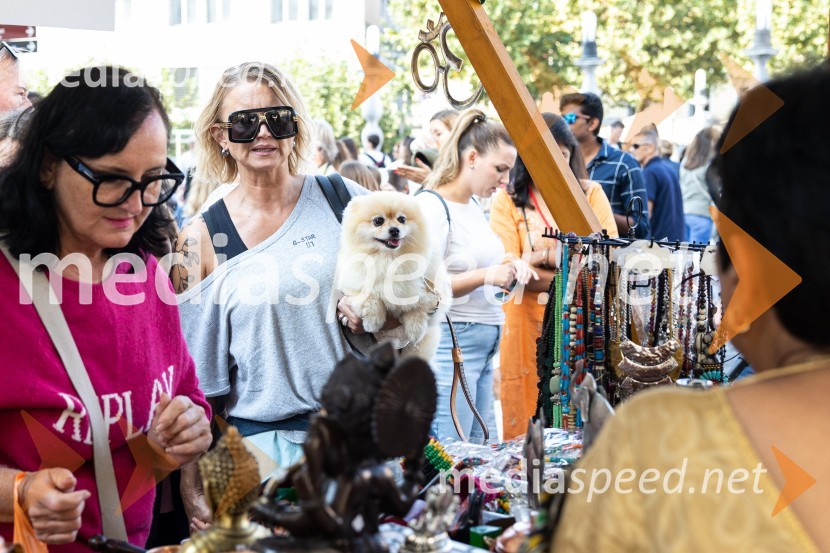 Dobrodelni bazar Mednarodnega združenja žensk - Sila