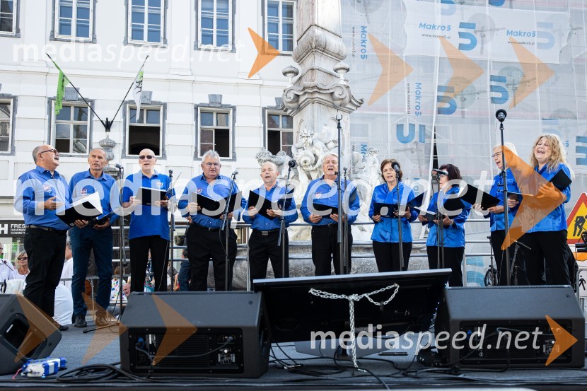 Dobrodelni bazar Mednarodnega združenja žensk - Sila