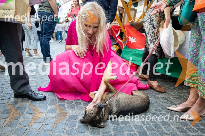  Lali Sladjana Ilic, predsednica, društvo SILA IWCL - International Women's Club LjubljanaDobrodelni bazar Mednarodnega združenja žensk - Sila