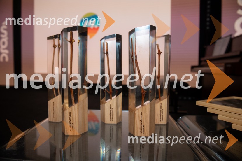 Štajerski gospodarski oskar za leto 2022