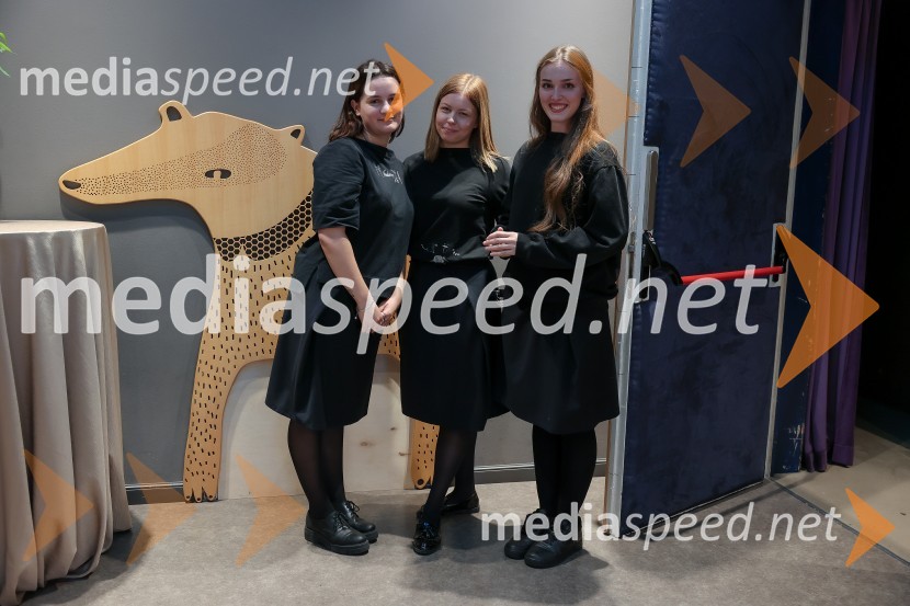 Mala vrla viteza, premiera predstave, Lutkovno gledališče Ljubljana