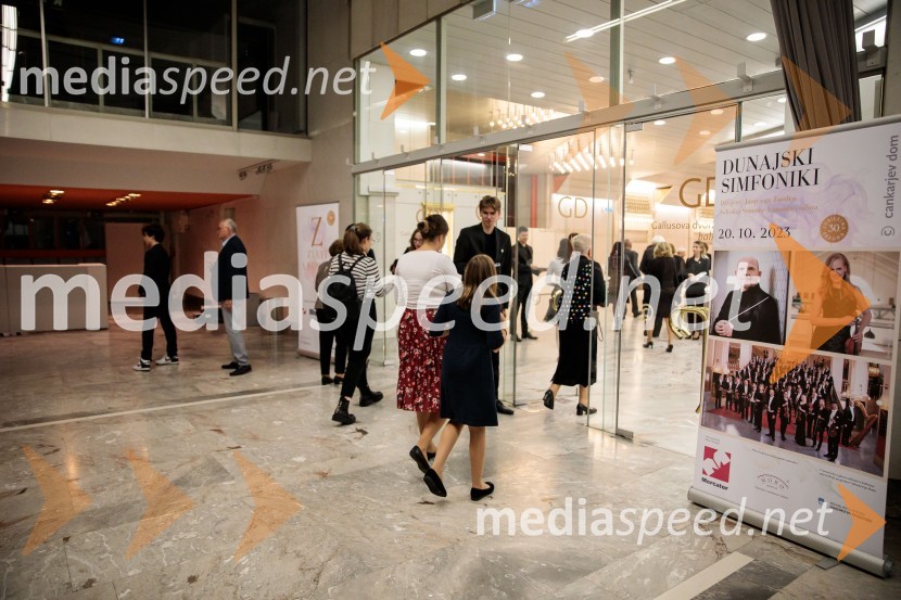 Dunajski simfoniki, koncert v Cankarjevem domu