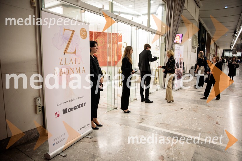 Dunajski simfoniki, koncert v Cankarjevem domu