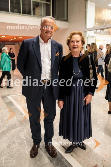 Dunajski simfoniki, koncert v Cankarjevem domu