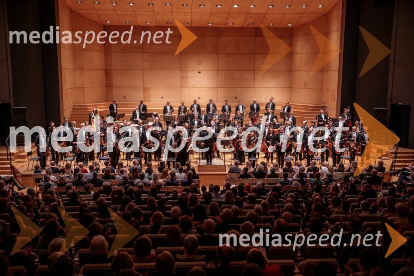 Dunajski simfoniki, koncert v Cankarjevem domu