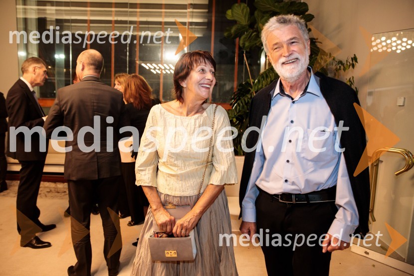 Dunajski simfoniki, koncert v Cankarjevem domu