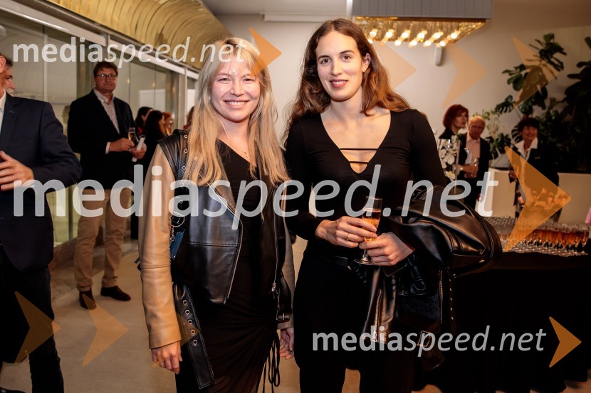 Dunajski simfoniki, koncert v Cankarjevem domu