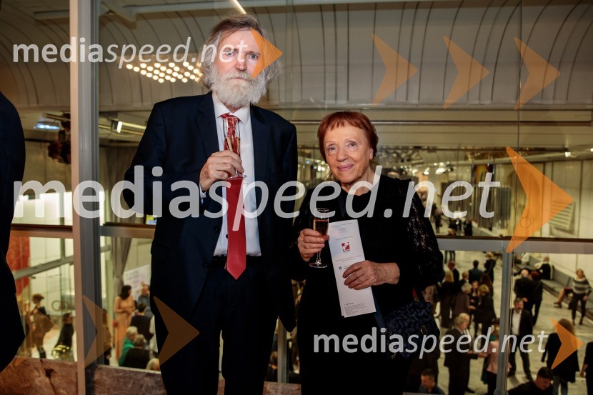 Dunajski simfoniki, koncert v Cankarjevem domu