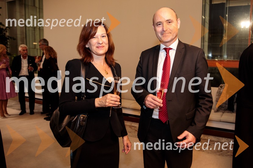 Dunajski simfoniki, koncert v Cankarjevem domu