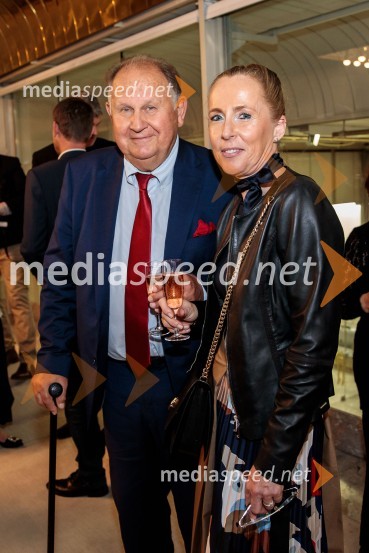 Dunajski simfoniki, koncert v Cankarjevem domu