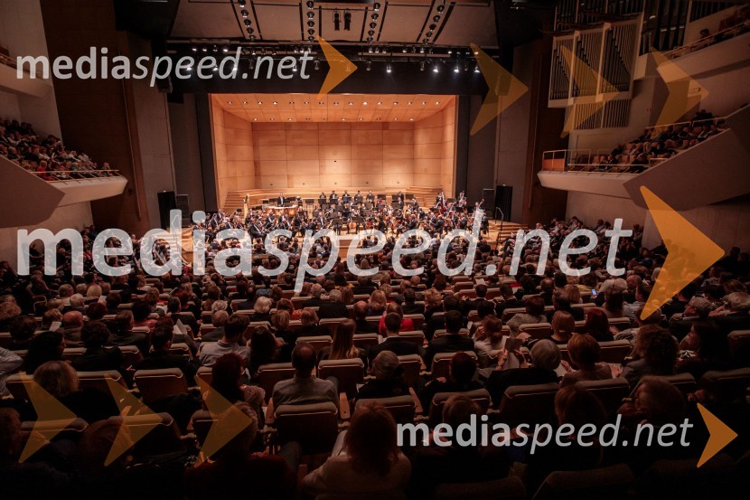 Dunajski simfoniki, koncert v Cankarjevem domu