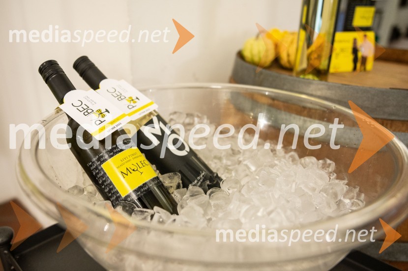 Salon štajerskih mladih vin Pubec letos ponovno v Mariboru in Ljubljani