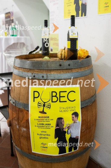 Salon štajerskih mladih vin Pubec letos ponovno v Mariboru in Ljubljani