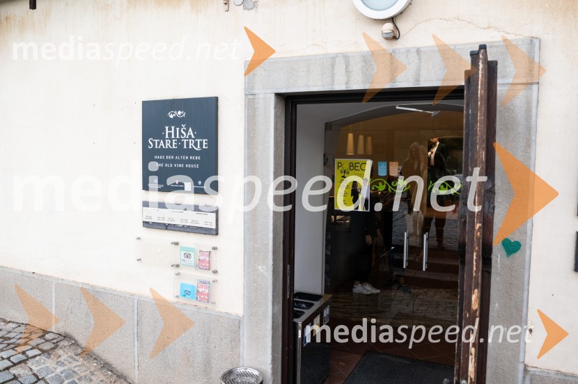 Salon štajerskih mladih vin Pubec letos ponovno v Mariboru in Ljubljani