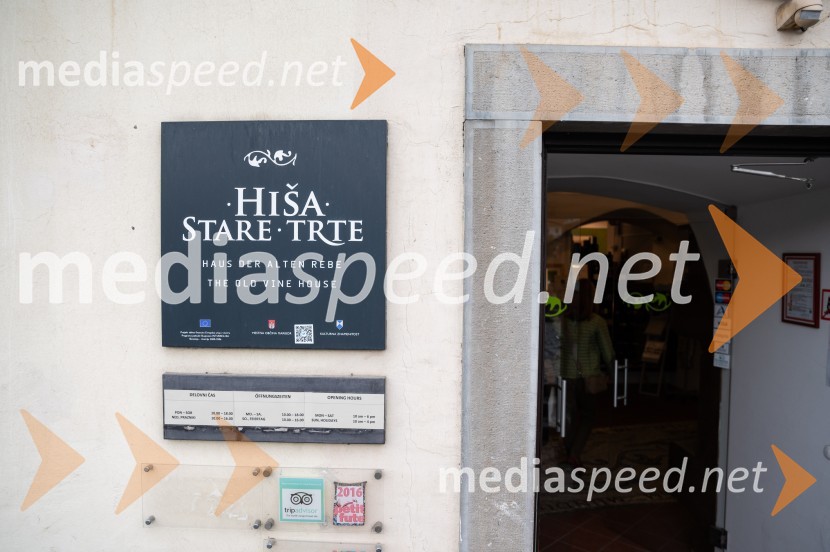 Salon štajerskih mladih vin Pubec letos ponovno v Mariboru in Ljubljani