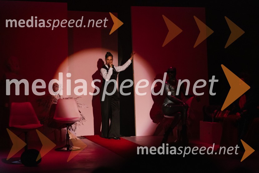 George Kaplan, premiera satirične komedije v SNG Nova Gorica