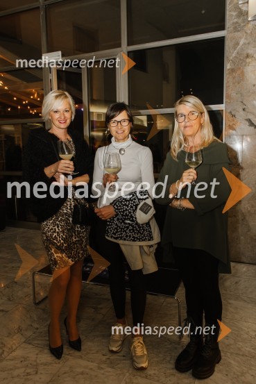 George Kaplan, premiera satirične komedije v SNG Nova Gorica