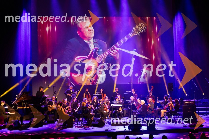 Veliki dobrodelni koncert VILJEM JULIJAN