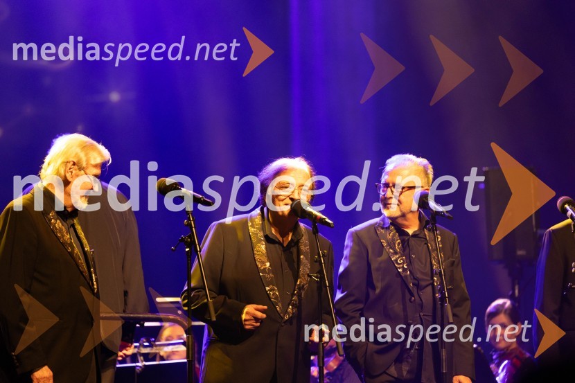  Dare Hering, glasbenik;  Oto Pestner, pevec;  Tomaž Kozlevčar, vokalistVeliki dobrodelni koncert VILJEM JULIJAN