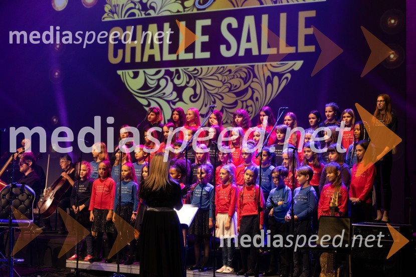 Veliki dobrodelni koncert VILJEM JULIJAN