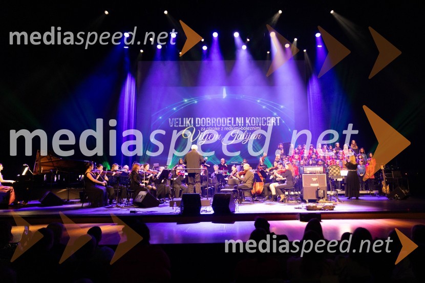 Veliki dobrodelni koncert VILJEM JULIJAN