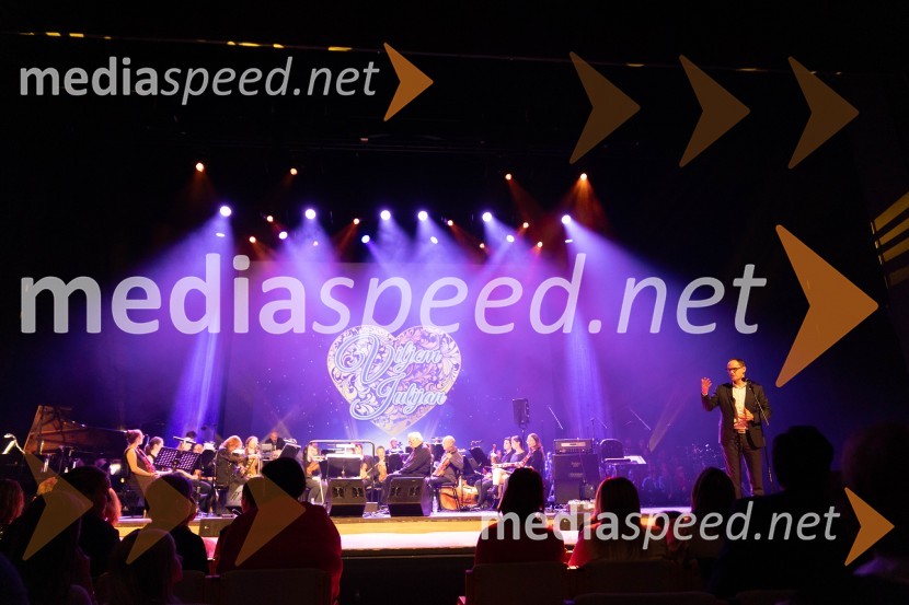  Anže Logar, poslanec SDS, predsednik Ljubljanskega odbora SDSVeliki dobrodelni koncert VILJEM JULIJAN