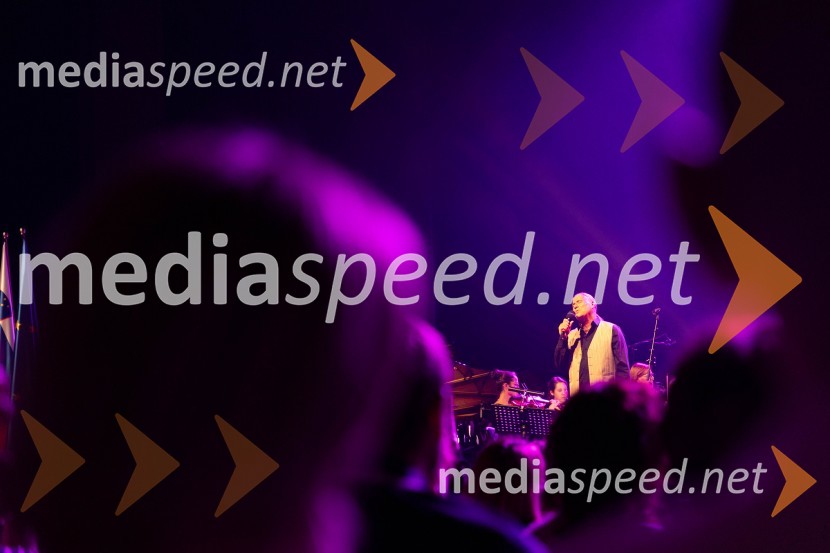  Goran Karan, pevecVeliki dobrodelni koncert VILJEM JULIJAN