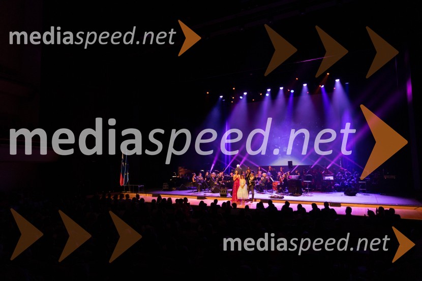 Veliki dobrodelni koncert VILJEM JULIJAN