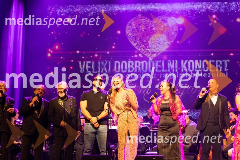  ... ;  ... ;  Challe Salle, glasbenik, raper;  Manca  Špik, pevka;  Tina Zidanšek, pevka;  Dejan Zafran , pevecVeliki dobrodelni koncert VILJEM JULIJAN