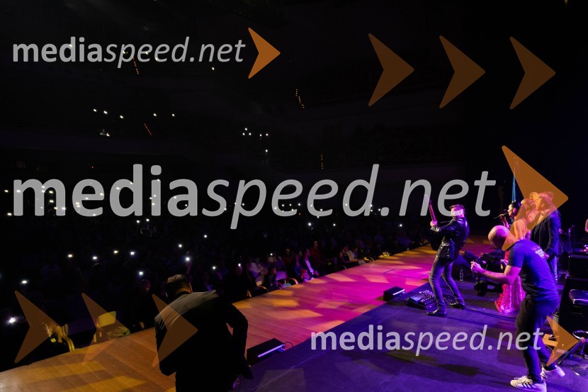 Veliki dobrodelni koncert VILJEM JULIJAN