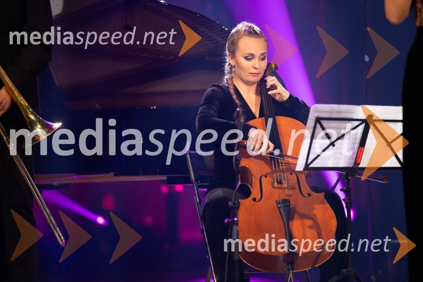 Festival slovenskega šansona 2023