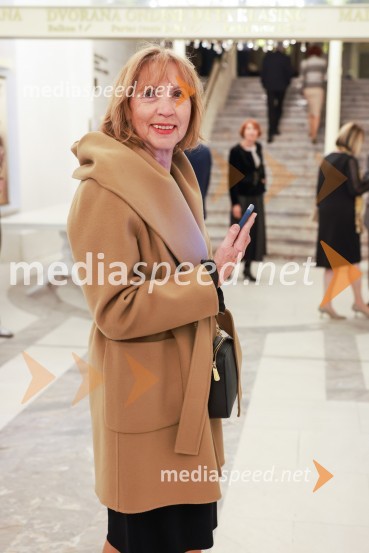 red. prof. dr. Majda Bastič, EPF, MariborPotujoče gledališče Šopalović, drama beograjskega JDP